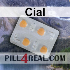Cial 577