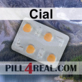 Cial 577