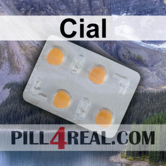 Cial 577