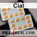 Cial 578