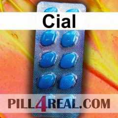 Cial 621
