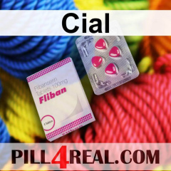 Cial 653