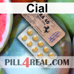 Cial 672