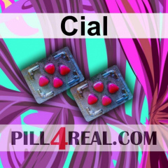 Cial 682