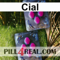 Cial 733