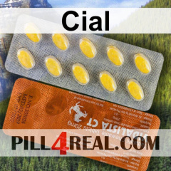 Cial 840