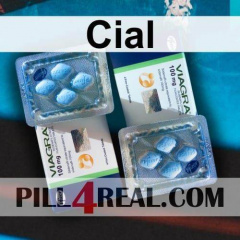Cial 897