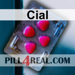 Cial 966