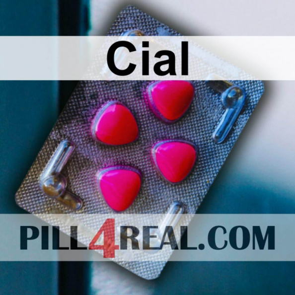 Cial_966.jpg