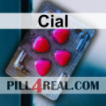Cial 966