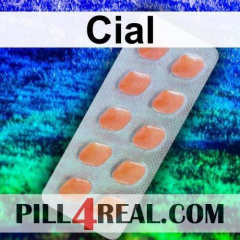 Cial 992
