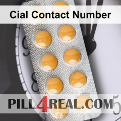 Cial Contact Number 502