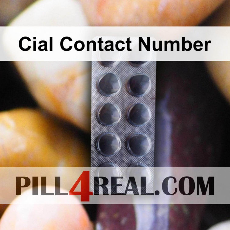 Cial Contact Number 549