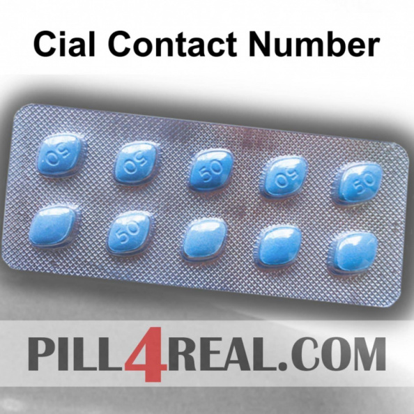 Cial Contact Number 699