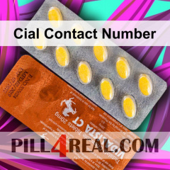 Cial Contact Number 719