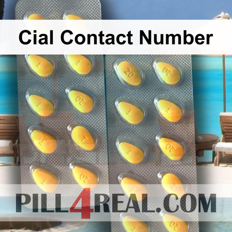 Cial Contact Number 839