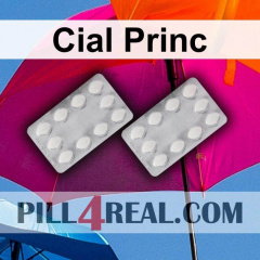 Cial Princ 002