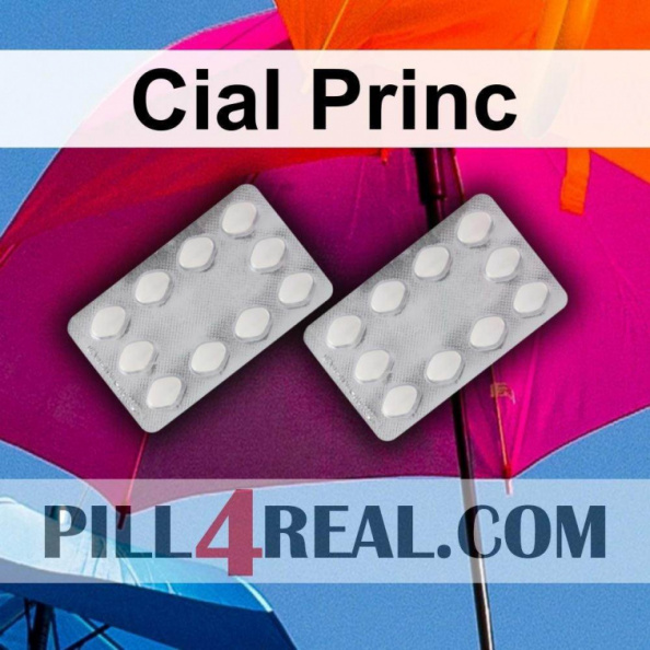 Cial Princ 002