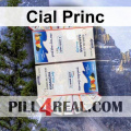 Cial Princ 015