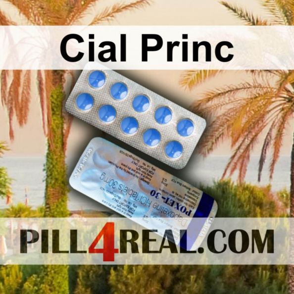 Cial Princ 033