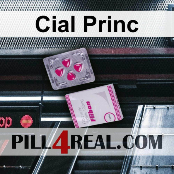 Cial Princ 040