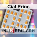 Cial Princ 044