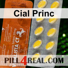 Cial Princ 101