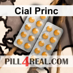Cial Princ 140