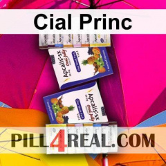 Cial Princ 215