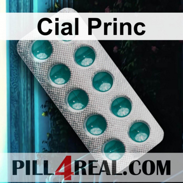 Cial Princ 296