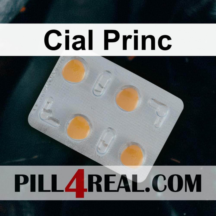 Cial Princ 360