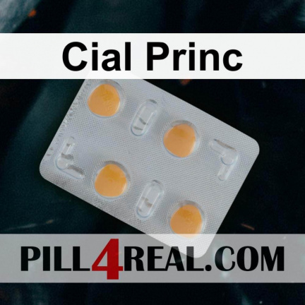 Cial Princ 360