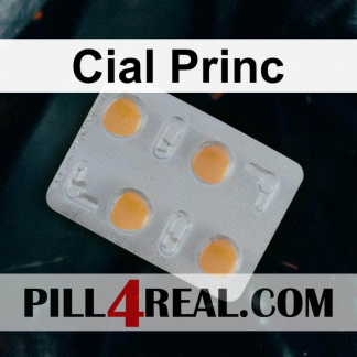 Cial Princ 360