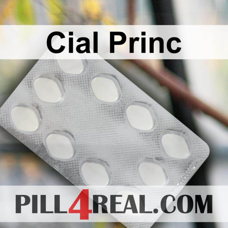 Cial Princ 388