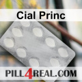 Cial Princ 388