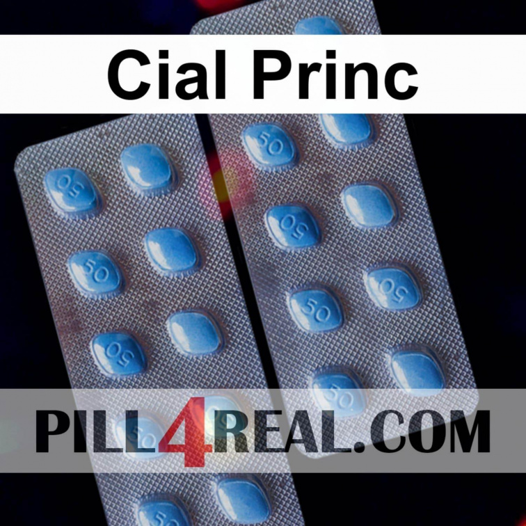Cial Princ 408
