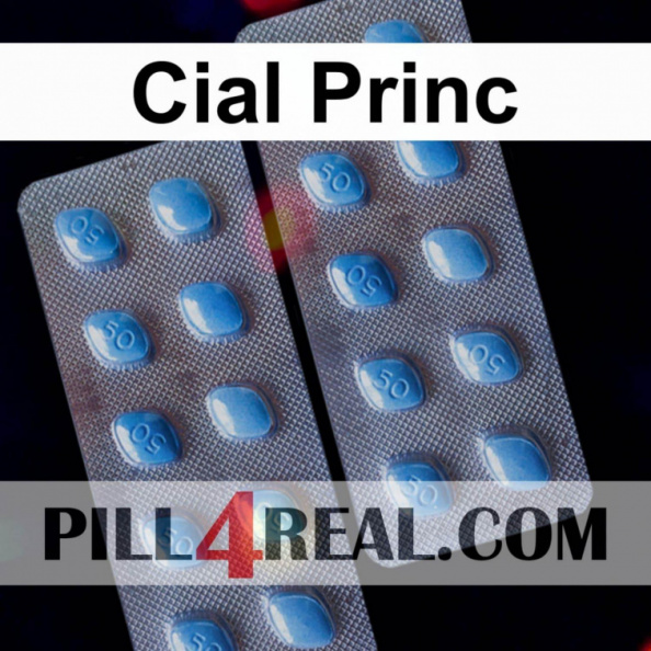 Cial Princ 408