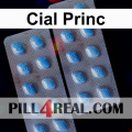 Cial Princ 408