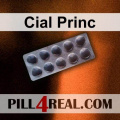 Cial Princ 456
