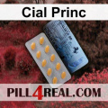 Cial Princ 470