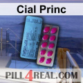Cial Princ 483