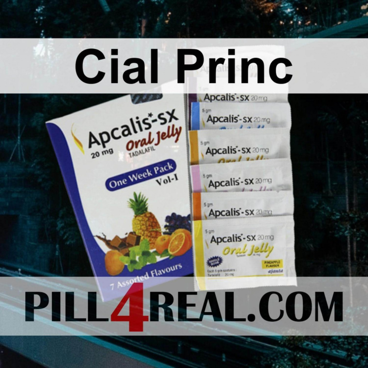Cial Princ 494