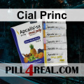 Cial Princ 494