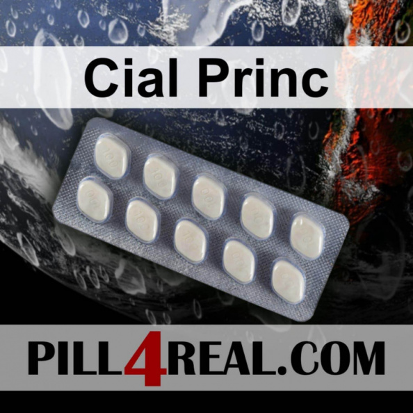 Cial Princ 496