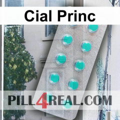 Cial Princ 513