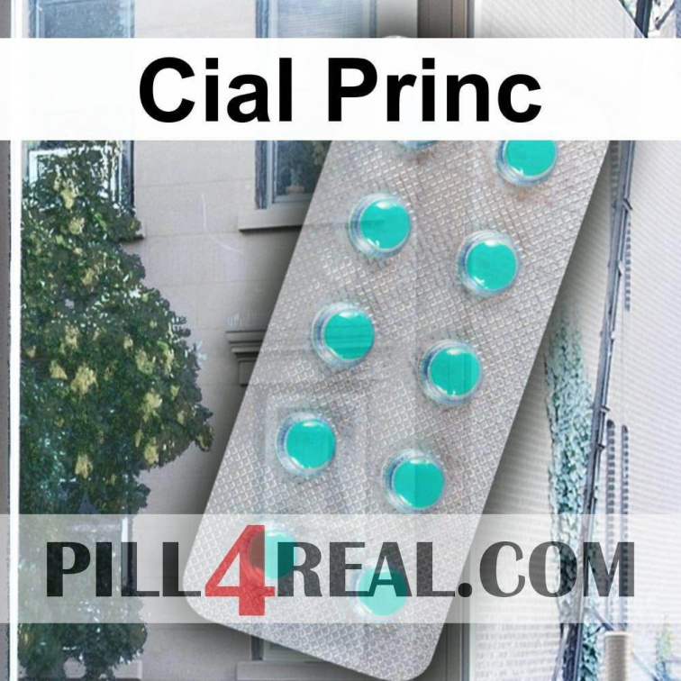 Cial Princ 513