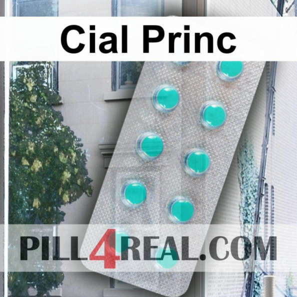 Cial Princ 513