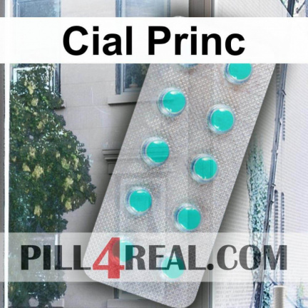 Cial Princ 513