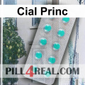 Cial Princ 513