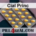 Cial Princ 517